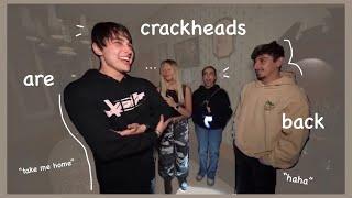 Sam and Colby are back and are still crackheads (*crack)