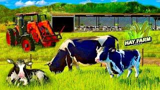 COWS EVERYWHERE! | DAIRY FARMS $60,000 EXPANSION!