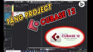 Tặng project cubase 12 pro full 64 bit chất lượng âm thanh cực hay | LÂM PHÁT studio |