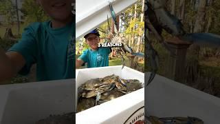  Three Reasons Why You Should Try Louisiana Blue Crabs #louisiana #crab #livecrabs #food