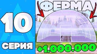 ПУТЬ БОМЖА НА АМАЗИНГ РП #10 - Я СТАЛ ФЕРМЕРОМ НА AMAZING ONLINE (GTA CRMP)