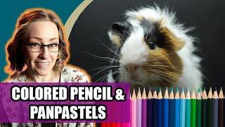 Guinea Pig Colored Pencil & Pan Pastels Full Lesson