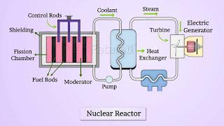 Nuclear Reactor | Class 12 Physics Chapter 13 Nuclei