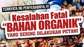 YA IYA LAH MAKIN PANAS... KESALAHAN FATAL BAHAN ORGANIK YANG SERING DILAKUKAN PETANI