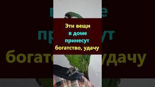 Эти вещи в доме принесут богатство, удачу и отпугнут беды и нищету