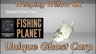 Unique Ghost Carp - Weeping Willow UK - Fishing Planet Guide