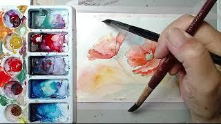 Modern Twist on 2 Poppies in Watercolor and ink!