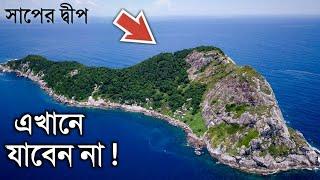 দেখুন পৃথিবীর একটি মাত্র দ্বীপ, যেখানে শুধু সাপের বসবাস | Snake Island of Brazil in Bangla