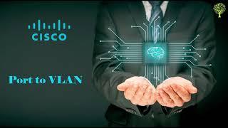 Cisco SG300-52P Gigabit PoE Manage Switch Full Configuration || VLan Create || Trunk || Interface ||