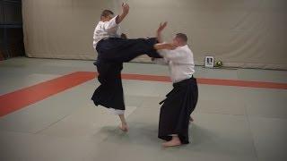 Aikido: Stephane Goffin - Nage Waza and Application