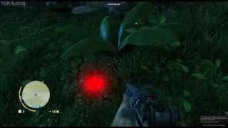 (Far Cry III) Strange glowing dot discovery