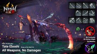 Nioh 2 | Tate Eboshi | All Weapons, No Damage, DotN P+9, No Confusion, No Onmyo Magic, No Ninjutsu