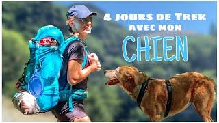 4 jours de Trek avec mon chien | vlog CÉVENNES