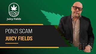 Understanding the Juicy Fields cannabis Ponzi Scam