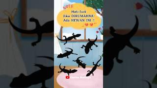 HATI-HATI !! Jika DIRUMAHMU ada HEWAN ini !! #viral #trending #cicak #shorts #shortsvideo #youtube