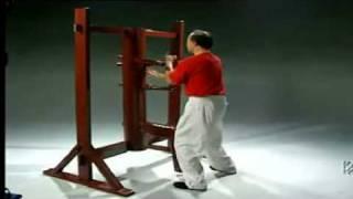 Mai Gei Wong Wing Chun by Wong Nim Yi Sifu