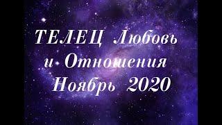 ТЕЛЕЦ Любовь и Отношения,  Ноябрь 2020.