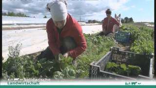 Was ist Solidarische Landwirtschaft? Erklärung vom Netzwerk Solidarische Landwirtschaft e.V.