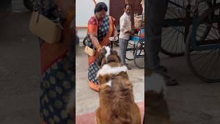 Cute si kahani ️ #funnyvideo