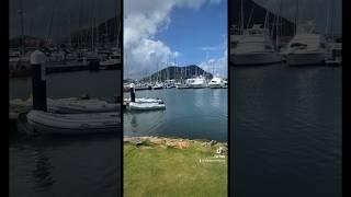 Rodney Bay Marina St Lucia #rodneybay #rodneybaymarina #rodneybaystlucia #viral