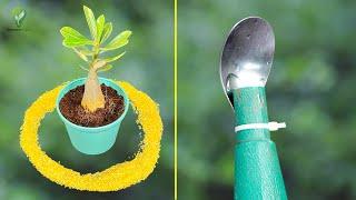  5 NEW Genius Garden Hacks That Will Save You Hundreds! 