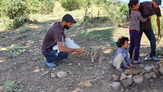 Mustafa's teacher rescues the puppy trapped in the forest and takes care of them