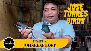 Jose Torres Pigeons na producer ng winners!