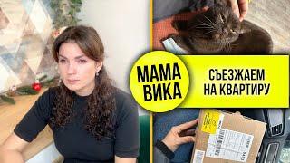 VLOG: Выгнать кота?/ Про курс Генералова и поиск лекарств‍️/ Мама Вика️