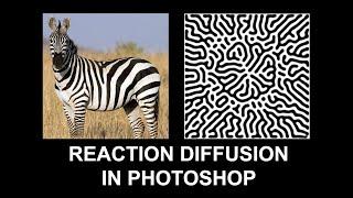 Reaction Diffusion In Photoshop