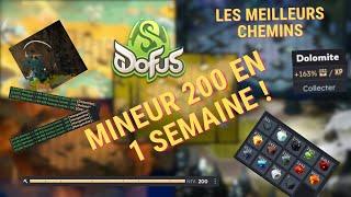 DOFUS UNITY : Devenir Mineur 200 en 1 Semaine ! Chemins Optimisés 