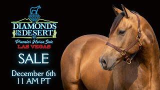 Sale LIVE @ the 2024 Diamonds in the Desert Las Vegas Premier Horse Sale