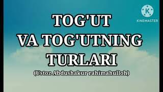 Tog'ut va Tog'utning turlari (Ustoz Abdushakur rohimahulloh)