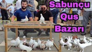 Sabunçu Qus Bazarı 18.09.22 #bakigoyercinleri #sabuncuqusbazari #elixezer #pigeons