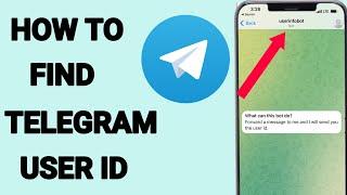 How To Find Telegram user id and username