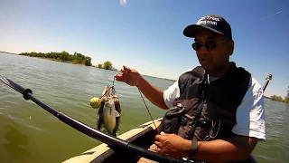 COAF Field Team Vlog #39 - Calm Morning, Went Kayak Fishing! #kayakfishing