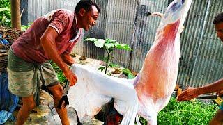 Full Goat Cutting Skills. Goat Cutting Cleaning Skills. Goat Cutting Skills Bangladesh