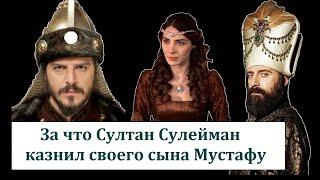 За что Султан Сулейман казнил своего сына Мустафу?