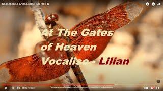 Boris Mamin: At The Gates of Heaven (Vocalise) - Singing  Lilian {official video}