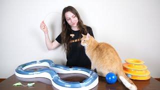 Top 5 Best Cat Toys (We Tested Them All)