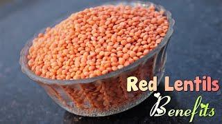 Why Red Lentils Are Good For You ? Powerhouse Of Nutrients
