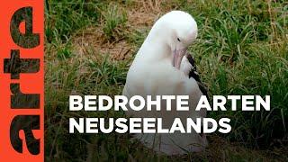 Neuseeland: Die Tiere vom Ende der Welt | GEO Reportage | ARTE Family