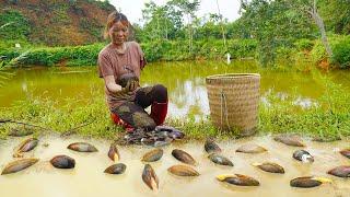 A single mother's journey with one arm - Harvest the mussels and bring them to the market to sell