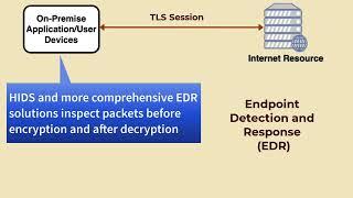 Visibility into TLS Traffic