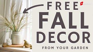 Easy Fall Decor Ideas using Foliage from your Garden. #short