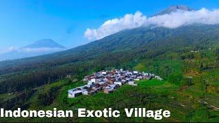 DESA EKSOTIS , INDAHNYA SEMPURNA DI LERENG GUNUNG SINDORO | Exotic Village, Beautifully perfect