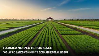 Gated community farmland near Bangalore - Best Managed farmland near Hosur @ Rs. 349 Per sft only.