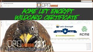 OPNsense - How to Config Let's Encrypt Wildcard Certificate using ACME Client