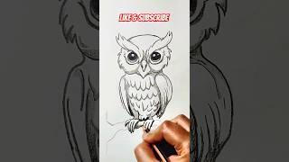 Owl #shorts #viral #short #animals #animal #art