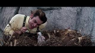 Ace Ventura: When Nature Calls/Steve Oedekerk/Jim Carrey/Ace Ventura