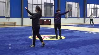 Taolu part 2 - Wudangshan International Wushu Academy, Wuhan Institute of Physical Education